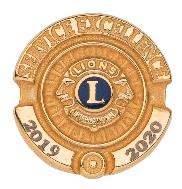 SERVICE EXCELLENCE PIN