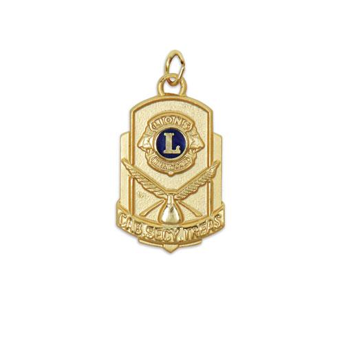 DISTRICT OFFICER MEDAL