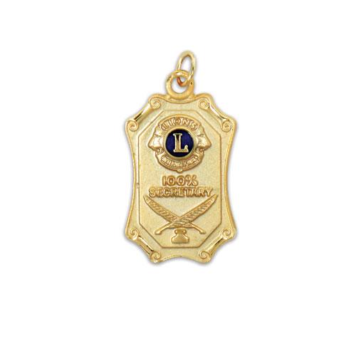 DISTRICT OFFICER MEDAL